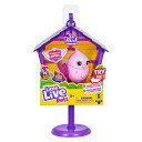リトルライブペッツ ぬいぐるみ リアル 動く 鳴く Little Live Pets - Lil' Bird & Bird House: Princess Polly | Linkable Bird Houses, New Moving Bird Heads with 20 + Sounds, and Reacts to Touchリトルライブペッツ ぬいぐるみ リアル 動く 鳴く