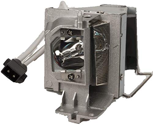 プロジェクターランプ ホームシアター テレビ 海外 輸入 Decinat BL-FP190E SP.8VH01GC01 Optoma Projector Lamp Replacement HD141X HD26 HD27 GT1070X GT1080 Assembled with Genuine Original Osram P-VIP Bulプロジェクターランプ ホームシアター テレビ 海外 輸入