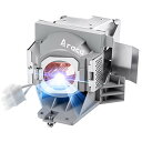 プロジェクターランプ ホームシアター テレビ 海外 輸入 Araca RLC-101 Replacement Projector Lamp with Housi...