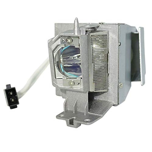 ץ ۡॷ ƥ  ͢ SP.8VH01GC01 BL-FP190E Replacement Projector Lamp for OPTOMA GT1080 S316 DH1009 H182X HD141X HD26 X316 W316 GT1070X BR326 BR323, Lamp with Housiץ ۡॷ ƥ  ͢
