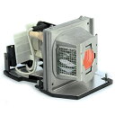 プロジェクターランプ ホームシアター テレビ 海外 輸入 Gzwog 310-7578/725-10089 Premium Quality Replacemen...
