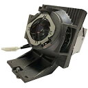 プロジェクターランプ ホームシアター テレビ 海外 輸入 PHO 5J.JHN05.001 Genuine Original Replacement Proje...