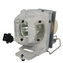プロジェクターランプ ホームシアター テレビ 海外 輸入 for Optoma VDUHDLZ VDUHDSZ VDUHDUZX Projector Lamp ...