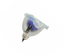 プロジェクターランプ ホームシアター テレビ 海外 輸入 DLP Projector Replacement Lamp Bulb Fit for LG Sams...