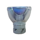 プロジェクターランプ ホームシアター テレビ 海外 輸入 HCDZ 3LCD Projector Replacement Lamp Bulb for Hitac...