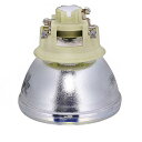 プロジェクターランプ ホームシアター テレビ 海外 輸入 Araca RLC-108 /RLC-109 /RLC-116 /5J.JGP05.001 (OEM ...