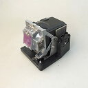 プロジェクターランプ ホームシアター テレビ 海外 輸入 CTLAMP Original 5811116635-SU / 5811116635-S/EST-P1...