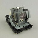 プロジェクターランプ ホームシアター テレビ 海外 輸入 CTLAMP 5J.J0W05.001 Replacement Projector Lamp with...