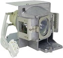 プロジェクターランプ ホームシアター テレビ 海外 輸入 Dekain for SmartBoard Lightraise 60Wi Projector Lam...