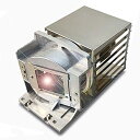 プロジェクターランプ ホームシアター テレビ 海外 輸入 CTLAMP A+ Quality BL-FP240A Replacement Projector L...
