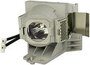 プロジェクターランプ ホームシアター テレビ 海外 輸入 PHO RLC-098 / RLC-102 Genuine Original Replacement ...