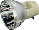 プロジェクターランプ ホームシアター テレビ 海外 輸入 AWO Original Projector Lamp Bulb RLC-061 Fit for VI...