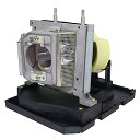 プロジェクターランプ ホームシアター テレビ 海外 輸入 CARSN 20-01032-20 Replacement Projector Lamp for Sm...