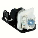 プロジェクターランプ ホームシアター テレビ 海外 輸入 AWO Original P-VIP180W Lamp Bulb for EC.K0100.001/E...