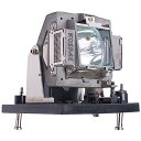 プロジェクターランプ ホームシアター テレビ 海外 輸入 Kosrar NP12LP Projector Lamp, Compatible with NEC N...