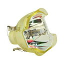 プロジェクターランプ ホームシアター テレビ 海外 輸入 Technical Precision Replacement for MARANTZ VP8600 ...