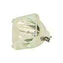 プロジェクターランプ ホームシアター テレビ 海外 輸入 Technical Precision Replacement for Philips AM18016...