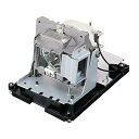 プロジェクターランプ ホームシアター テレビ 海外 輸入 PHO BL-FU310B 5811121495-SEK Genuine Original Repla...