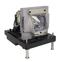 プロジェクターランプ ホームシアター テレビ 海外 輸入 for Vivitek DU6871 Projector Lamp by Dekain (Origin...