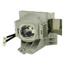 プロジェクターランプ ホームシアター テレビ 海外 輸入 RLC-092 RLC-093 Replacement Projector Lamp for VIEW...