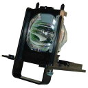 プロジェクターランプ ホームシアター テレビ 海外 輸入 King Lamps Compatible 915B455011 TV Replacement Lam...