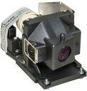 プロジェクターランプ ホームシアター テレビ 海外 輸入 Replacement for RICOH Type 17 LAMP and HOUSING Proj...