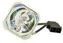 プロジェクターランプ ホームシアター テレビ 海外 輸入 Technical Precision Replacement for EPSON V13H010L4...