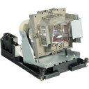 プロジェクターランプ ホームシアター テレビ 海外 輸入 Technical Precision Replacement for Promethean EST-...