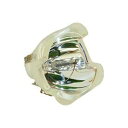 プロジェクターランプ ホームシアター テレビ 海外 輸入 Technical Precision Replacement for PHILIPS UHP 300-250W 1.1 E21.7 Projector TV Lamp Bulbプロジェクターランプ ホームシアター テレビ 海外 輸入