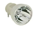 プロジェクターランプ ホームシアター テレビ 海外 輸入 Replacement for OPTOMA HD270E Bare LAMP ONLY Projec...
