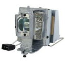 プロジェクターランプ ホームシアター テレビ 海外 輸入 Technical Precision Replacement for OPTOMA W416 LAM...