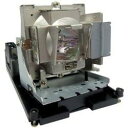 プロジェクターランプ ホームシアター テレビ 海外 輸入 Technical Precision Replacement for OPTOMA TH1060 L...