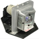 プロジェクターランプ ホームシアター テレビ 海外 輸入 CTLAMP Compatible EC.J6300.001/78-6969-9957-8 Repla...