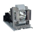 プロジェクターランプ ホームシアター テレビ 海外 輸入 PHO 5811119833-SVV Genuine Original Replacement Bul...