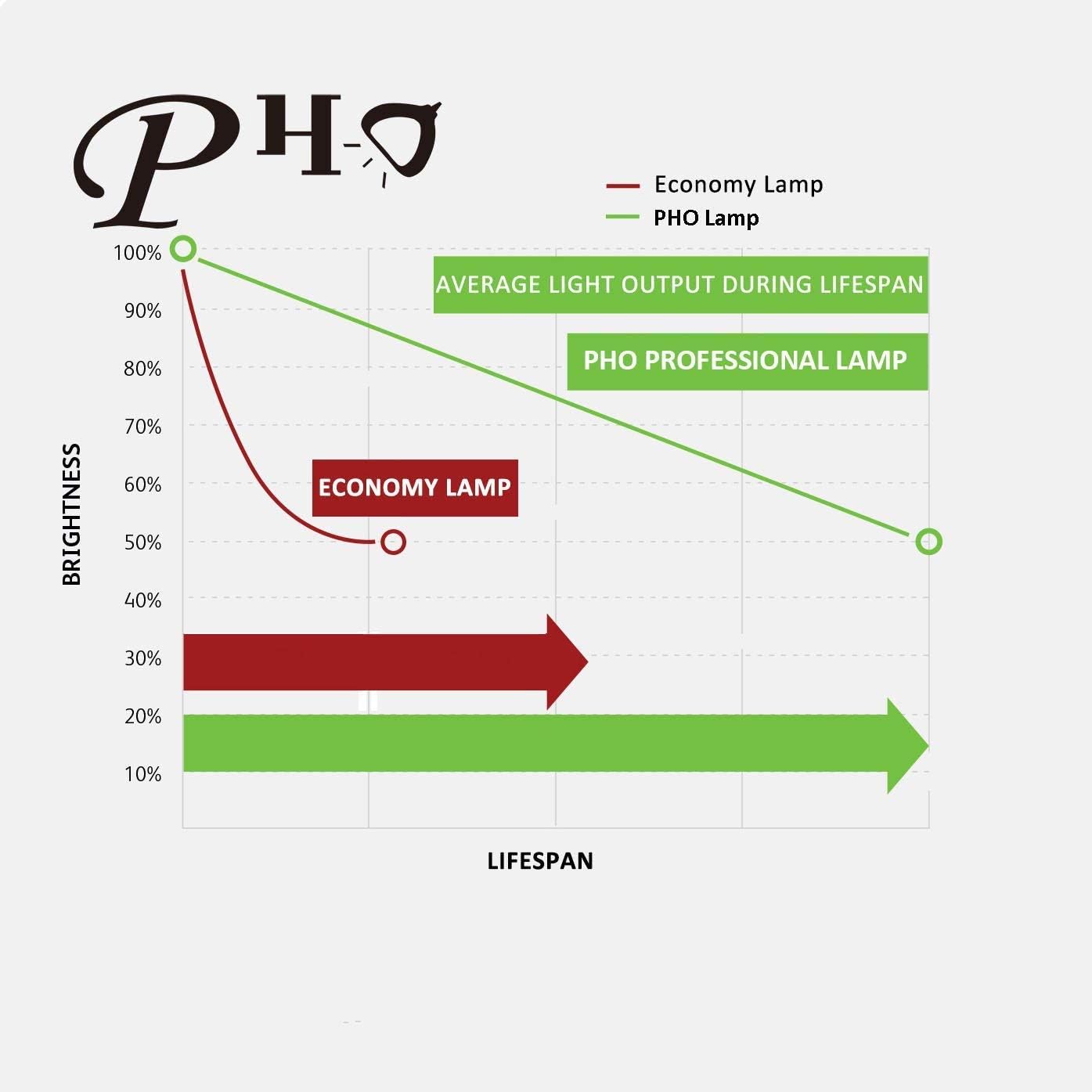 プロジェクターランプ ホームシアター テレビ 海外 輸入 【送料無料】PHO LMP-H202 Genuine Original Replacement Bulb/Lamp with Housing for Sony VPL-HW40ES Projector (OEM Philips Bulb)プロジェクターランプ ホームシアター テレビ 海外 輸入