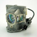 プロジェクターランプ ホームシアター テレビ 海外 輸入 CTLAMP 5J.J2D05.001 Replacement Lamp 5J.J2D05.001 C...