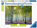ジグソーパズル 海外製 1000ピース 白樺の森 約70x50センチ 絵画・アート Ravensburger