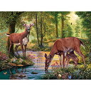 ジグソーパズル 海外製 アメリカ Bits and Pieces - 300 Piece Jigsaw Puzzle for Adults 18