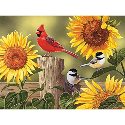 WO\[pY CO AJ Bits and Pieces - Sunflower and Songbirds 1000 Piece Jigsaw Puzzles for Adults - Each Puzzle Measures 20 Inch x 27 Inch - 1000 pc Jigsaws by Artist William VanderdassonWO\[pY CO AJ