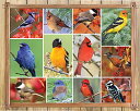 商品情報 商品名ジグソーパズル 海外製 アメリカ Springbok's 1000 Piece Jigsaw Puzzle Songbirds - Made in USAジグソーパズル 海外製 アメリカ 商品名（英語）Springbok's 1000 Piece Jigsaw Puzzle Songbirds - Made in USA 型番33-10749 海外サイズ1000 ブランドSpringbok 関連キーワードジグソーパズル,海外製,アメリカこのようなギフトシーンにオススメです。プレゼント お誕生日 クリスマスプレゼント バレンタインデー ホワイトデー 贈り物