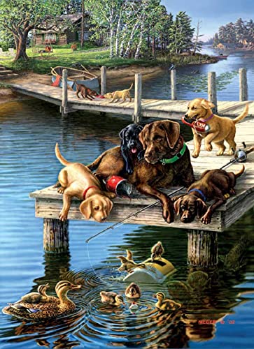 ジグソーパズル 海外製 アメリカ SunsOut Summer School 500 pc Large Piece Jigsaw Puzzle for Adults, Larger Size Pieces for Easy Grip, Chocolate Lab, Dogs, Animals, Made in USA, James Meger - 19.25" x 26.625" MPN# 28497ジグソーパズル 海外製 アメリカ