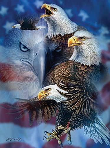 ѥ  ꥫ SUNSOUT INC - Patriotic Eagles - 1000 pc Jigsaw Puzzle by Artist: Steven Michael Gardner - Finished Size 20