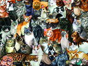 ジグソーパズル 海外製 アメリカ SUNSOUT INC - Cat Collage - 300 pc Jigsaw Puzzle by Artist: Luc...