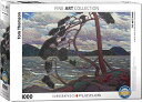 WO\[pY CO AJ EuroGraphics The West Wind Tom Thomson Puzzle (1000 Piece)WO\[pY CO AJ