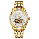 腕時計 ビンルン メンズ BINLUN Men 039 s Automatic Mechanical Watch 18K Gold-Plated Stainless Steel Waterproof Luminous Skeleton Wrist Watches for Men腕時計 ビンルン メンズ