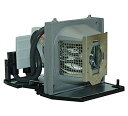 プロジェクターランプ ホームシアター テレビ 海外 輸入 GOLDENRIVER BL-FU220A Projector Lamp Assembly with ...