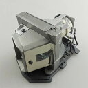 プロジェクターランプ ホームシアター テレビ 海外 輸入 CTLAMP Original BL-FU185A / SP.8EH01G.C01 Projector...