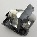 プロジェクターランプ ホームシアター テレビ 海外 輸入 CTLAMP SPLAMP055 / sp-lamp-055 Replacement Projecto...
