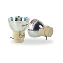 プロジェクターランプ ホームシアター テレビ 海外 輸入 SunnyPro Projector Lamp Bulb RLC-092 / RLC-093 Repl...