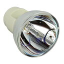 プロジェクターランプ ホームシアター テレビ 海外 輸入 CTLAMP DLP RLC-080 Replacement Lamp Bare Lamp Compa...